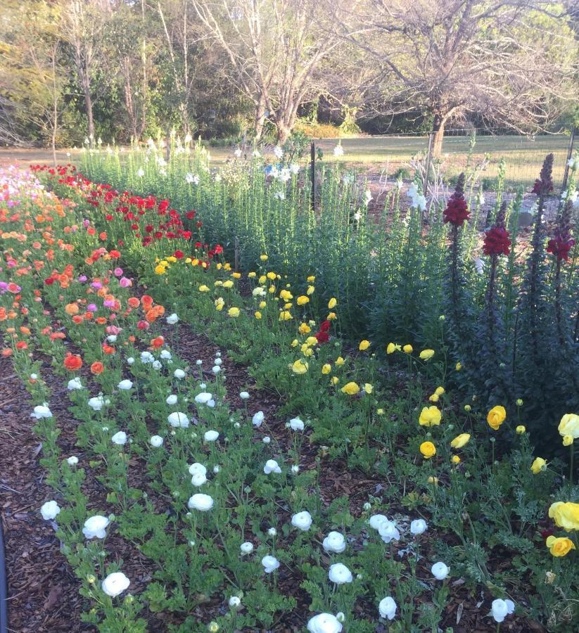 Flower Farm Tamborine Mountain Mount Tamborine Exterior foto