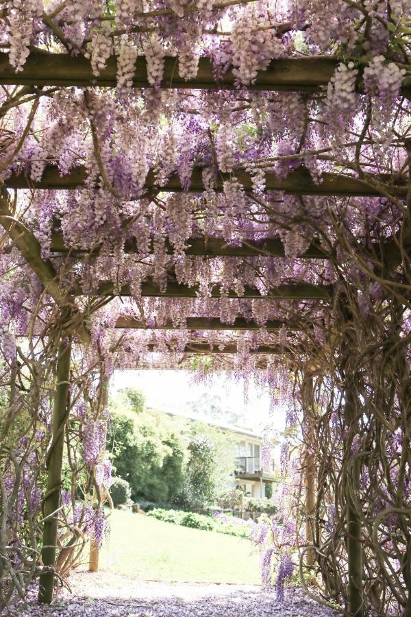 Flower Farm Tamborine Mountain Mount Tamborine Exterior foto